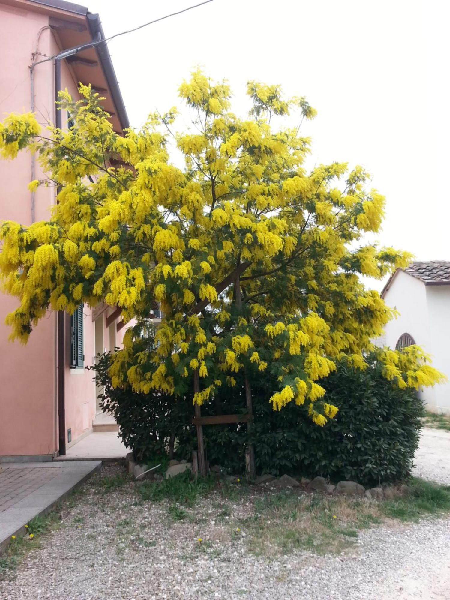 Casa Vacanze Santa Maria Certaldo Luaran gambar